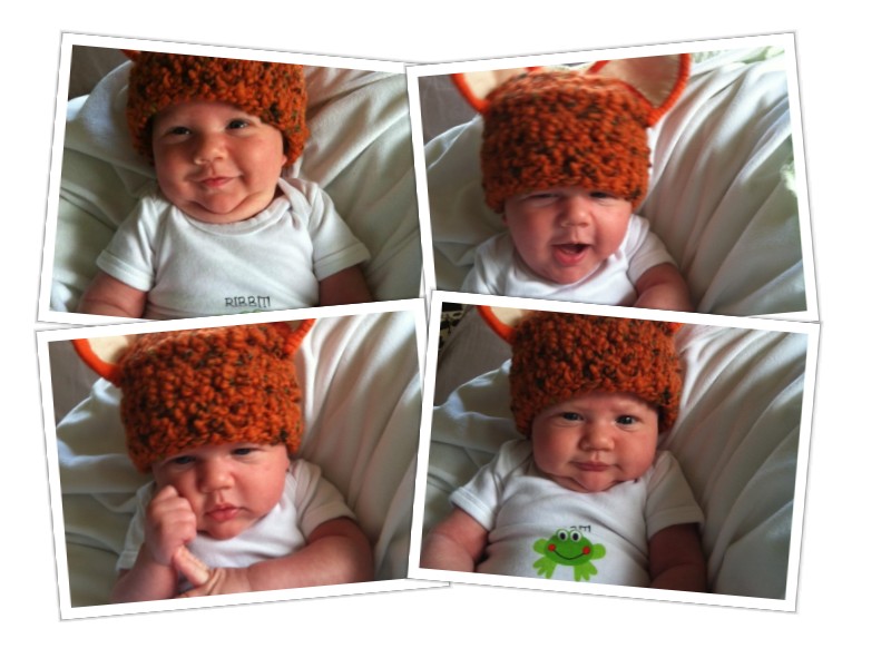 baby collage